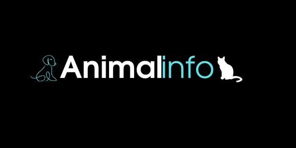 info logo Animal